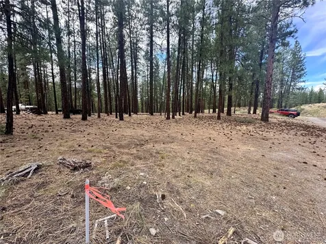 67 Larkspur Drive Winthrop WA 98862