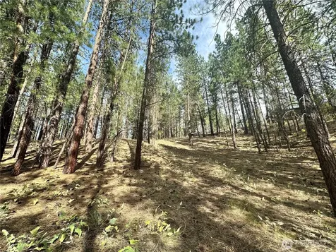 67 Larkspur Drive Winthrop WA 98862