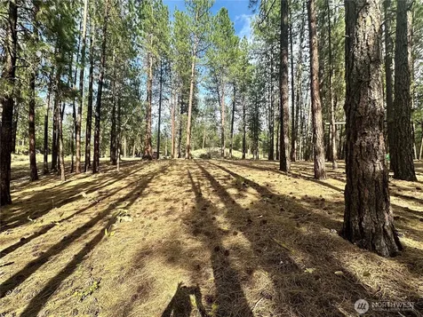 67 Larkspur Drive Winthrop WA 98862