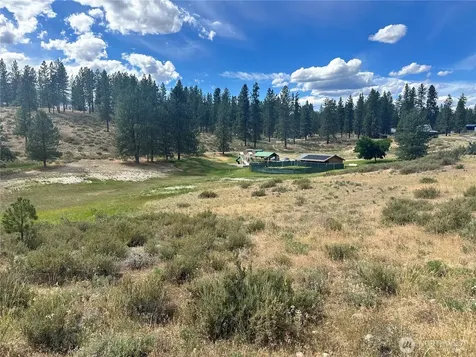 67 Larkspur Drive Winthrop WA 98862