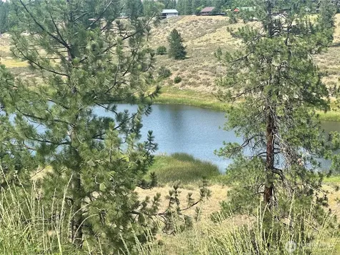 67 Larkspur Drive Winthrop WA 98862