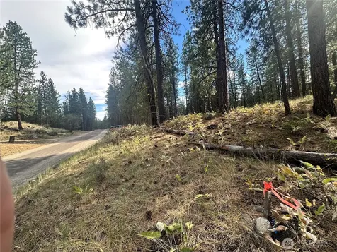 67 Larkspur Drive Winthrop WA 98862