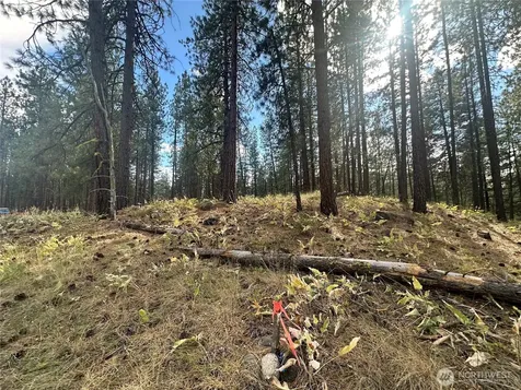 67 Larkspur Drive Winthrop WA 98862