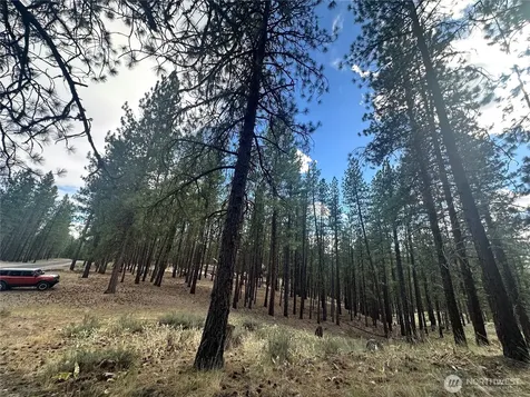67 Larkspur Drive Winthrop WA 98862