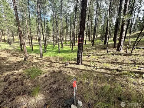 67 Larkspur Drive Winthrop WA 98862