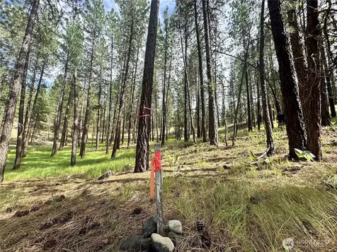67 Larkspur Drive Winthrop WA 98862
