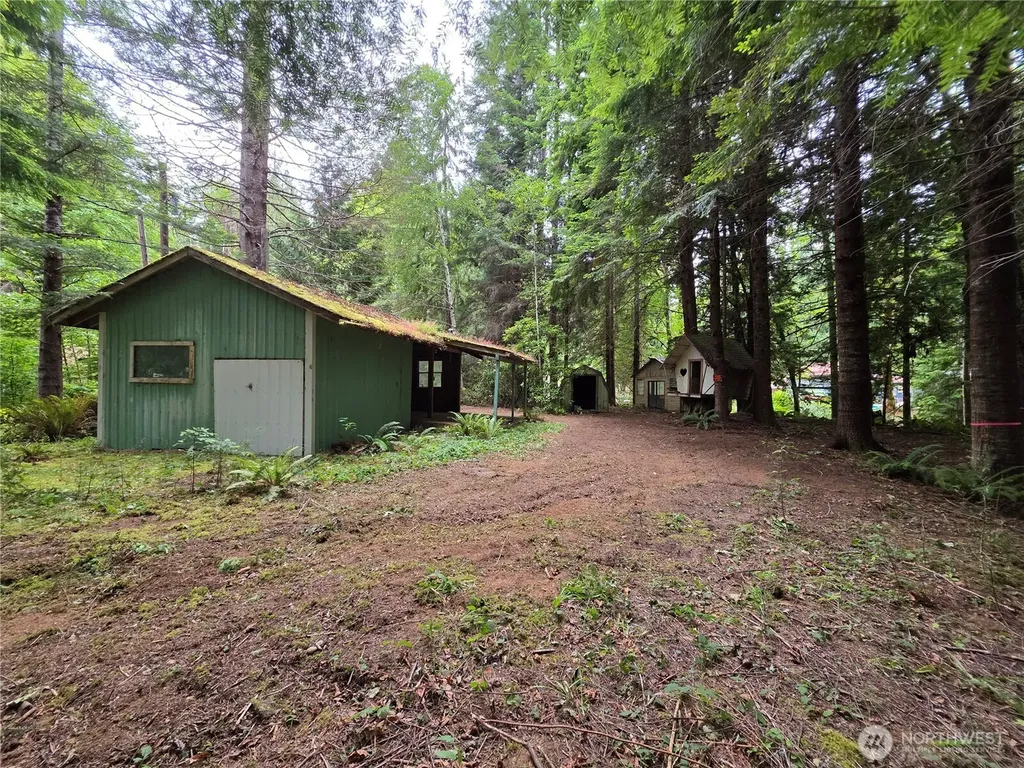 160 Elk Drive Brinnon WA 98320