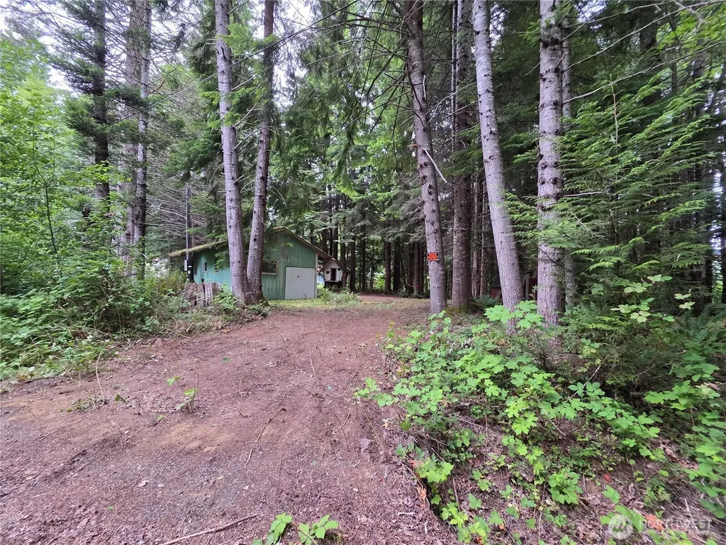 160 Elk Drive Brinnon WA 98320