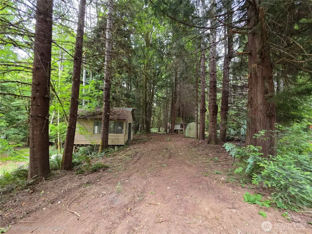 160 Elk Drive Brinnon WA 98320