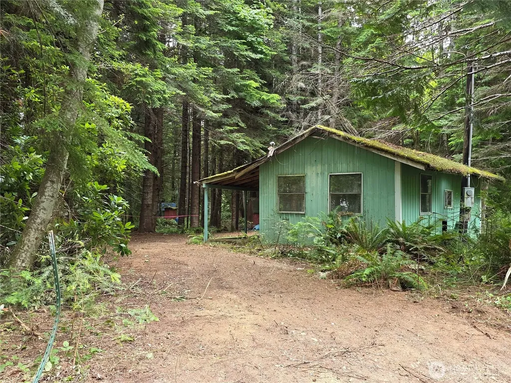 160 Elk Drive Brinnon WA 98320
