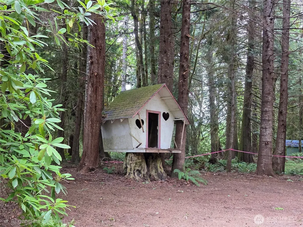 160 Elk Drive Brinnon WA 98320