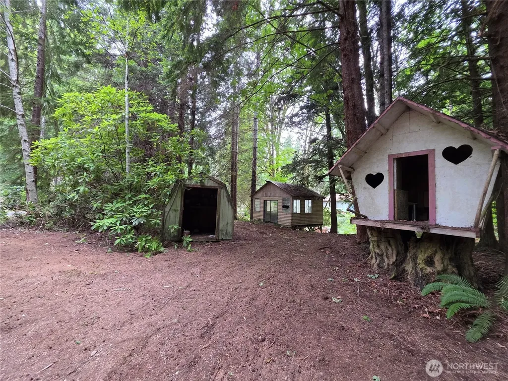 160 Elk Drive Brinnon WA 98320