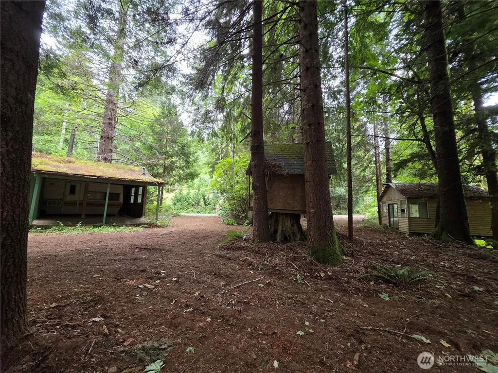 160 Elk Drive Brinnon WA 98320