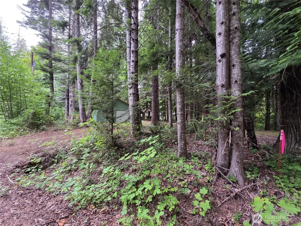 160 Elk Drive Brinnon WA 98320