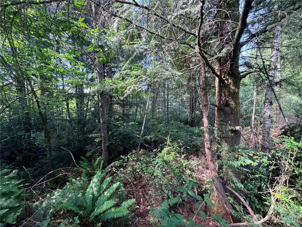 5445 SW County Line Road Port Orchard WA 98367