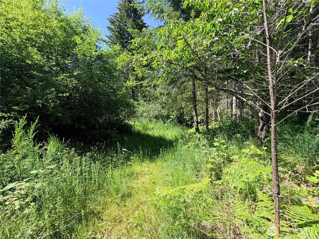 5445 SW County Line Road Port Orchard WA 98367