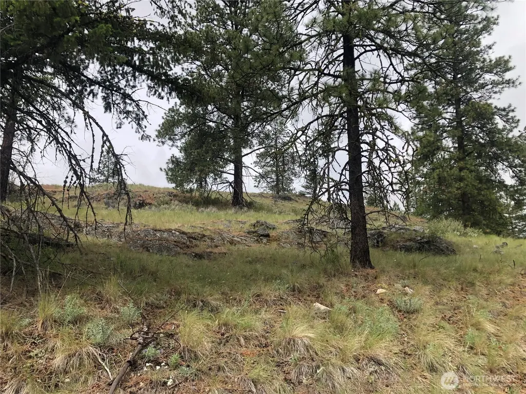 227 Point Drive Oroville WA 98844