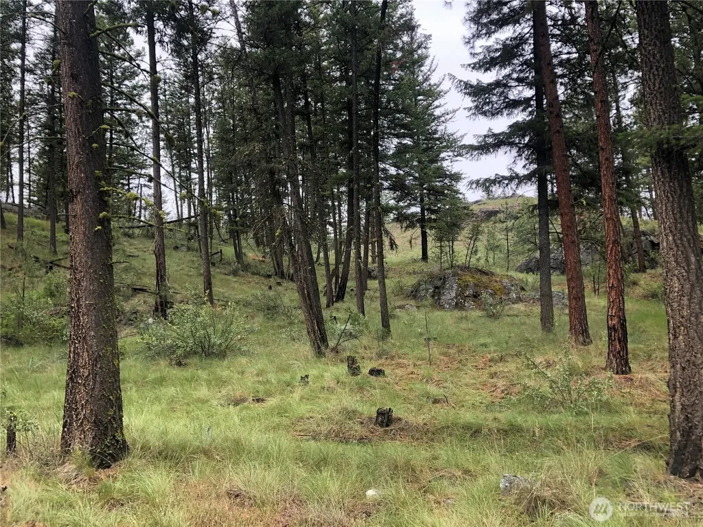 227 Point Drive Oroville WA 98844