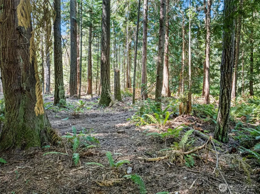 14925 Olympic View Loop Road NW Silverdale WA 98383