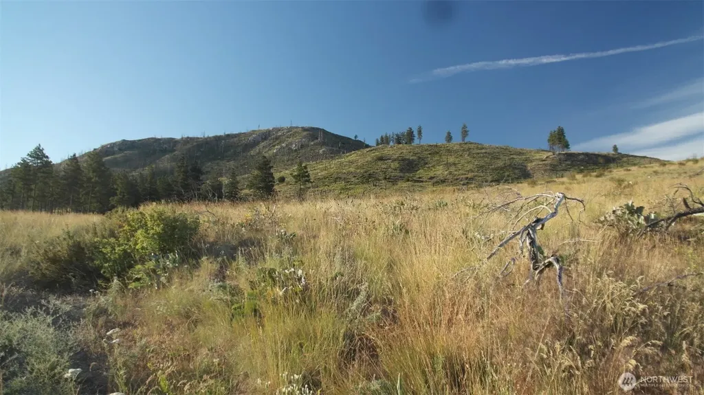 75 High Ranch Road Methow WA 98834
