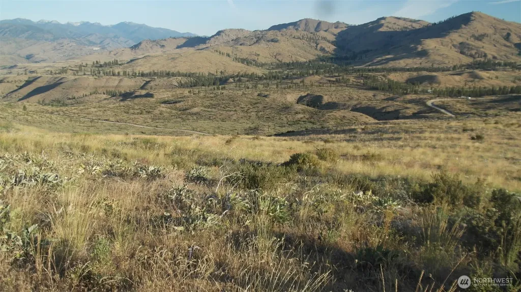 75 High Ranch Road Methow WA 98834