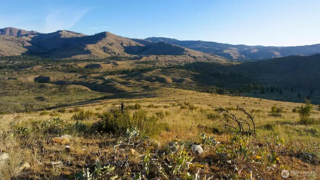 75 High Ranch Road Methow WA 98834