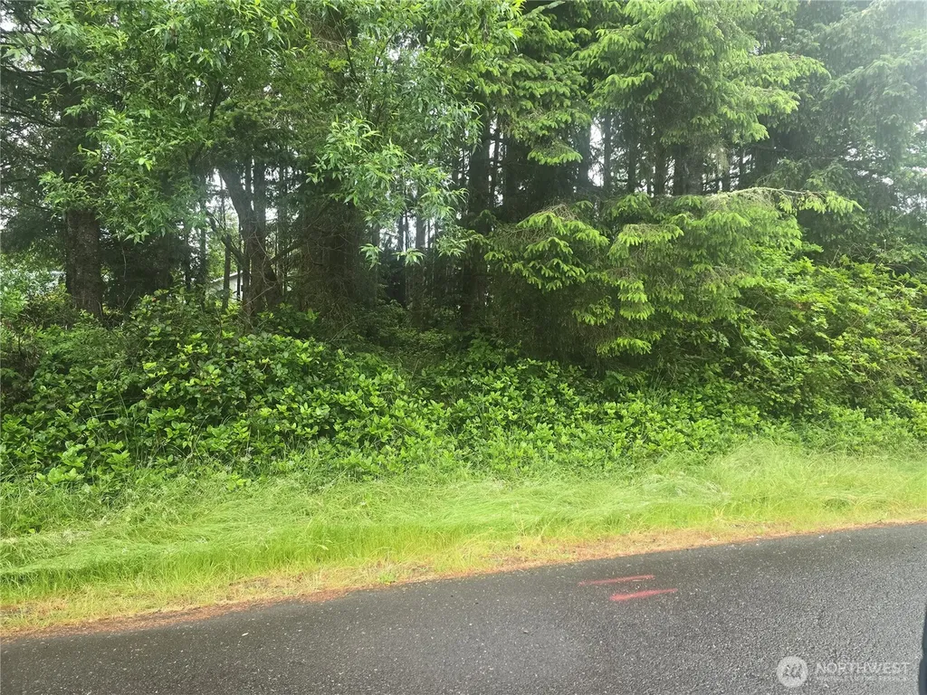 563 Weratherwax Loop NE Ocean Shores WA 98569