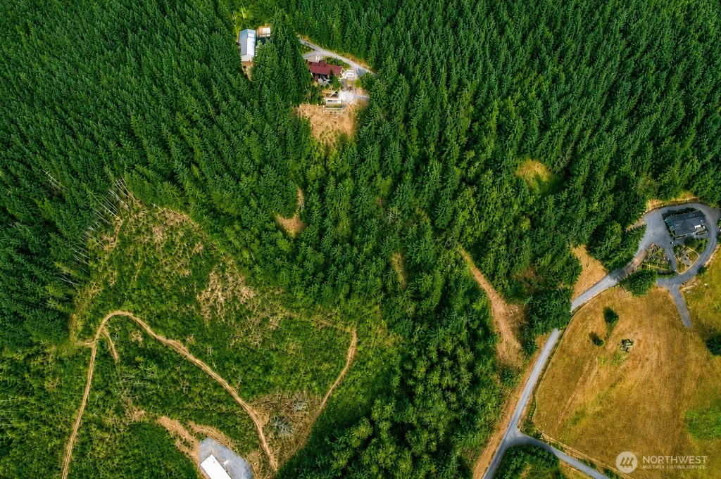 673 Curtis Hill Road Chehalis WA 98532