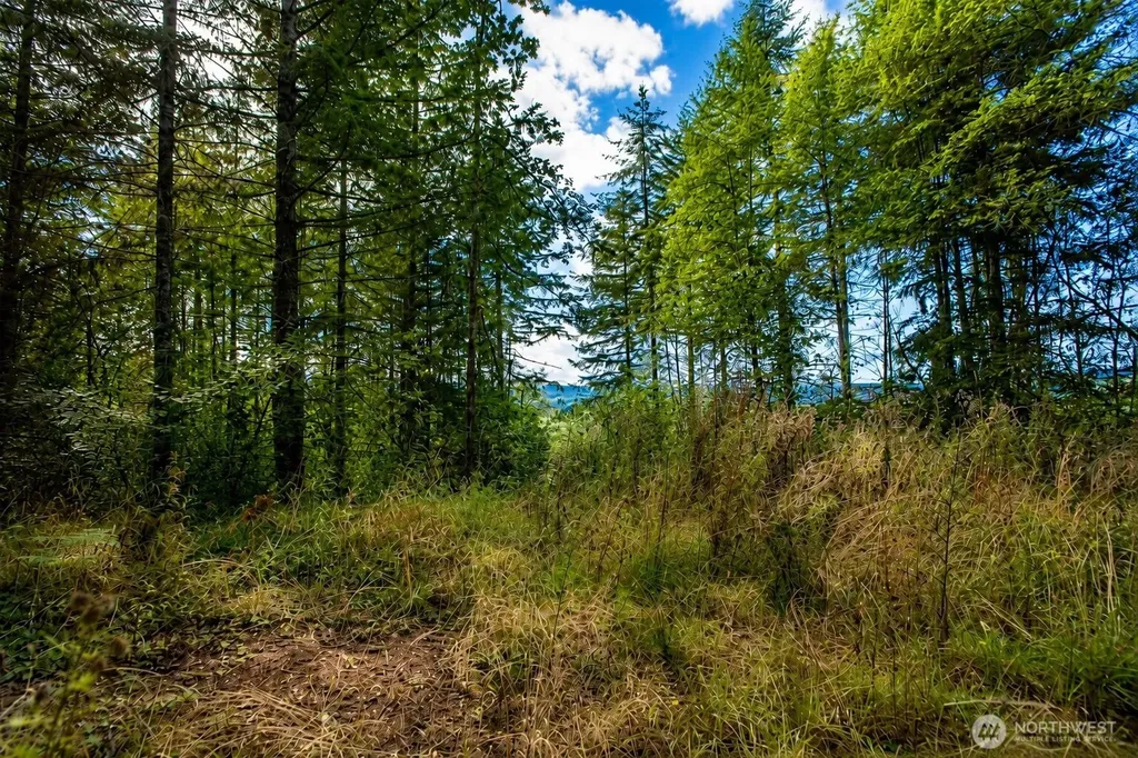 673 Curtis Hill Road Chehalis WA 98532