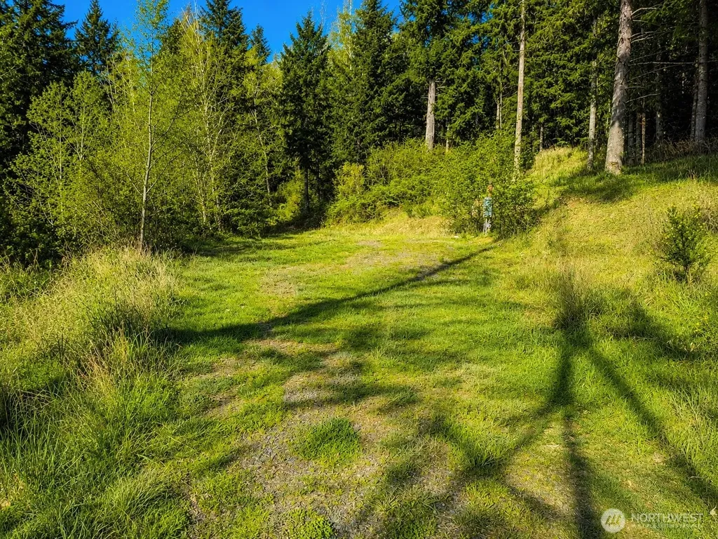 673 Curtis Hill Road Chehalis WA 98532