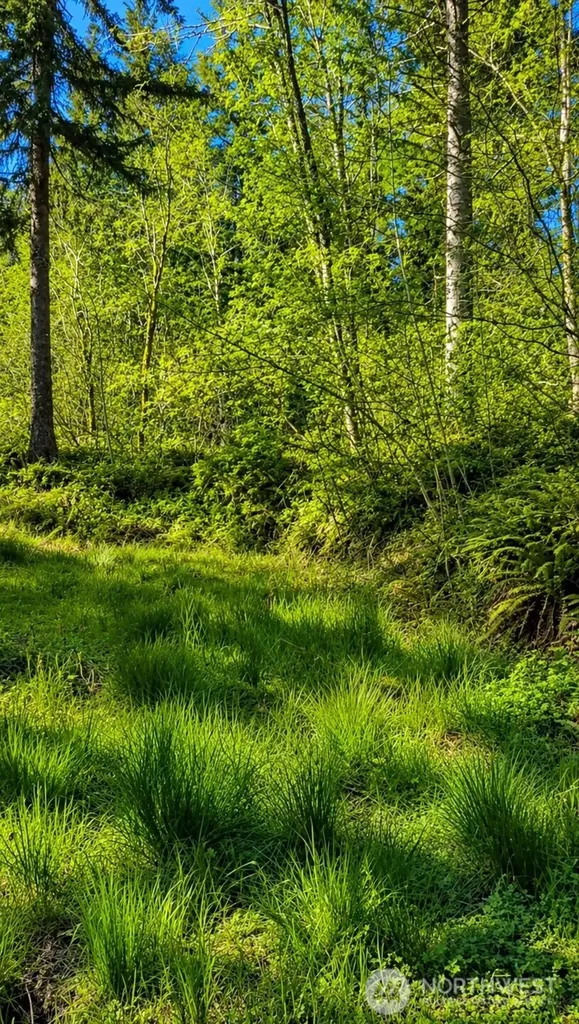 673 Curtis Hill Road Chehalis WA 98532