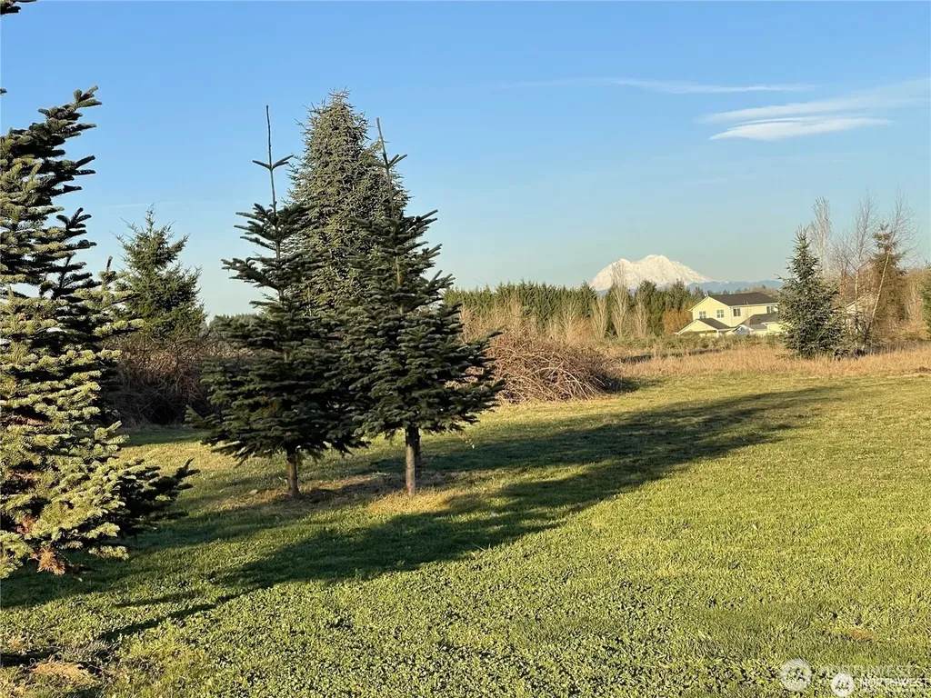 415 State Route 505 Winlock WA 98596
