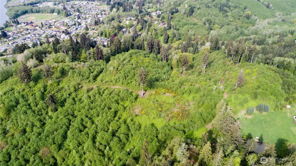1111 Washington Cemetery Road Raymond WA 98577
