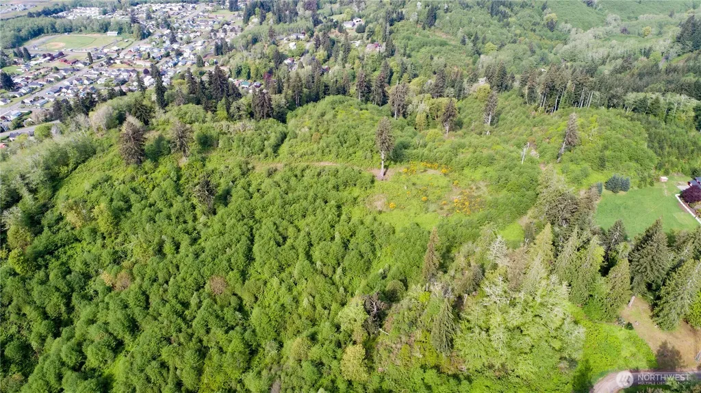 1111 Washington Cemetery Road Raymond WA 98577
