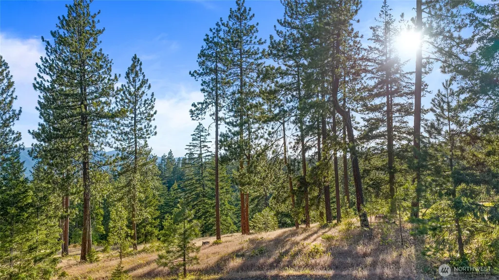 1631 Creekside Road Cle Elum WA 98922