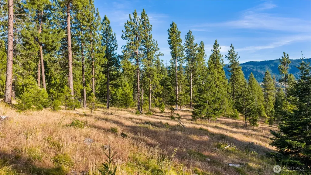 1631 Creekside Road Cle Elum WA 98922