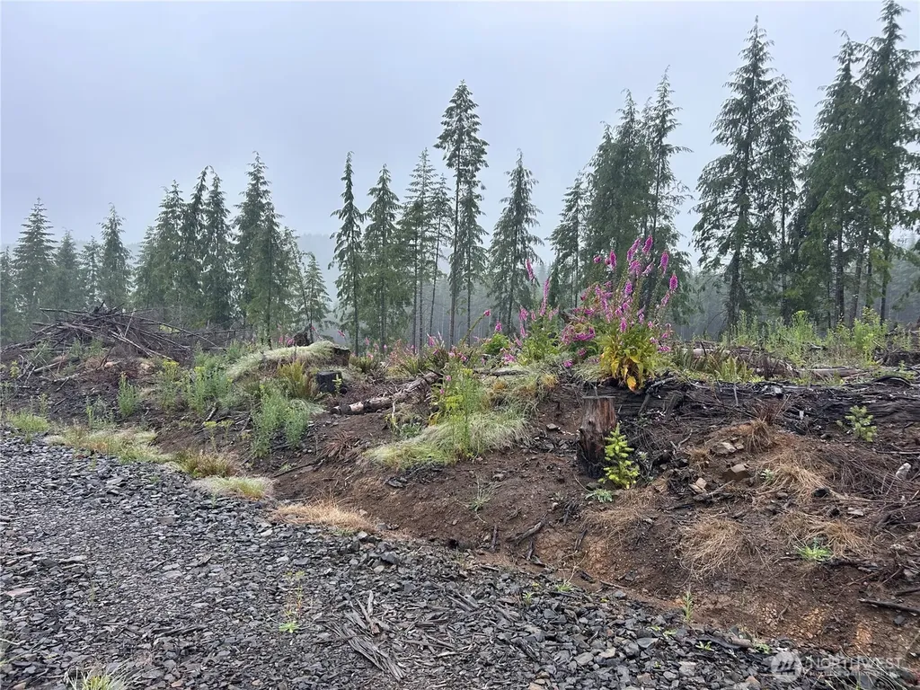 0 Ocean Beach Highway Skamokawa WA 98647