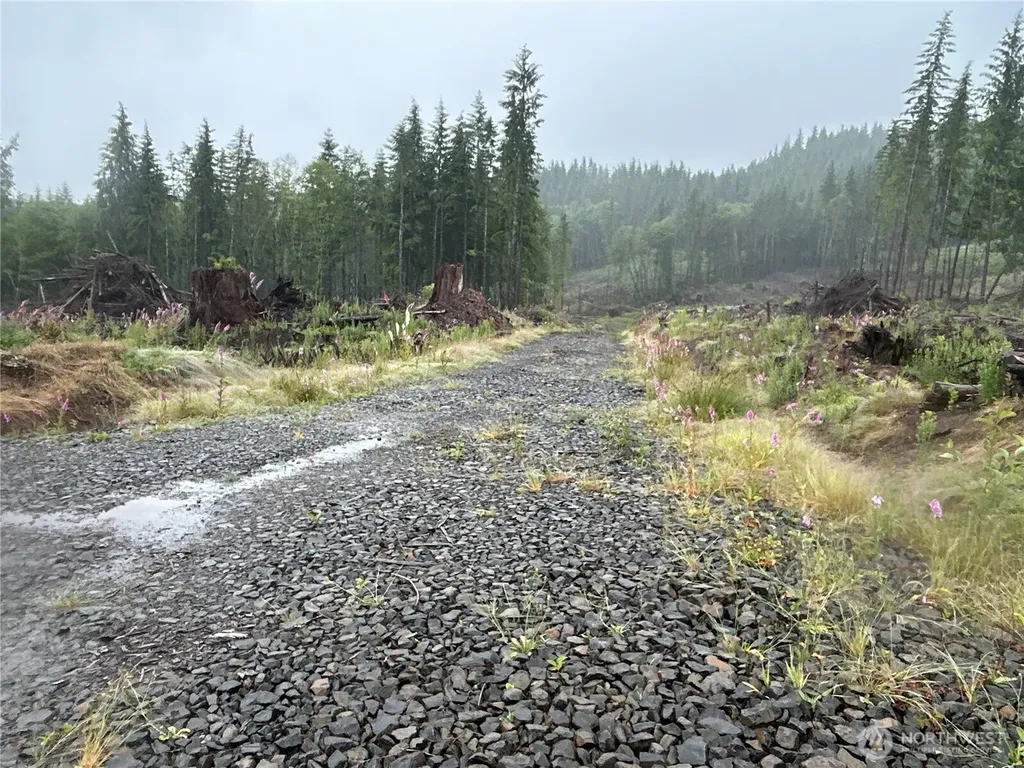 0 Ocean Beach Highway Skamokawa WA 98647