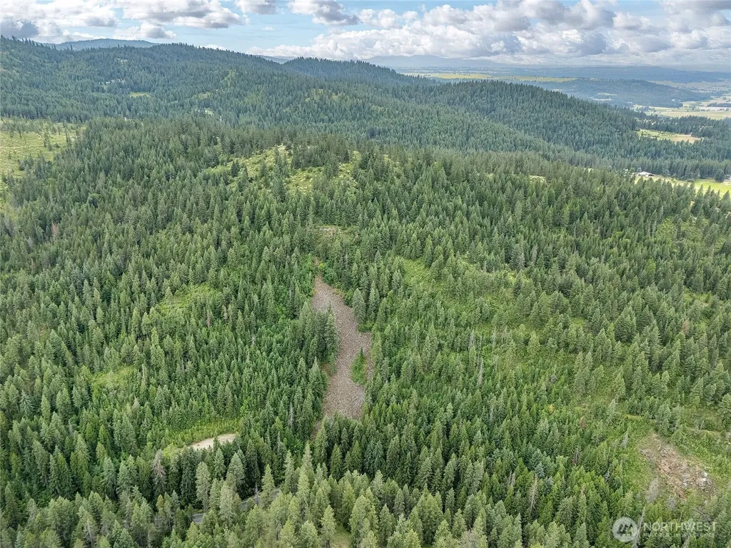 19960 + 19970 N Mt Spokane Park Drive Mead WA 99021
