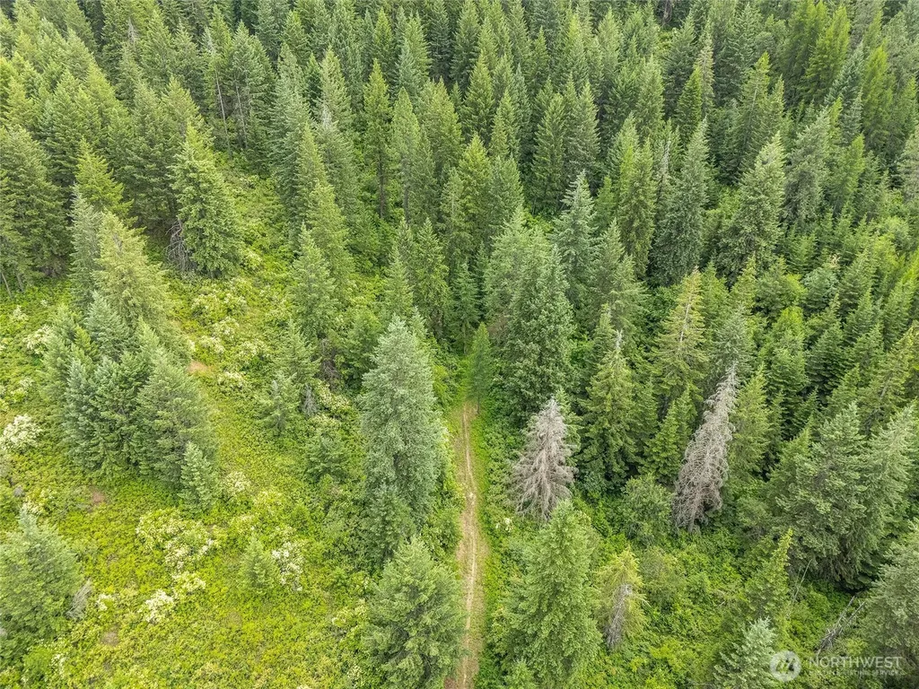 19960 + 19970 N Mt Spokane Park Drive Mead WA 99021