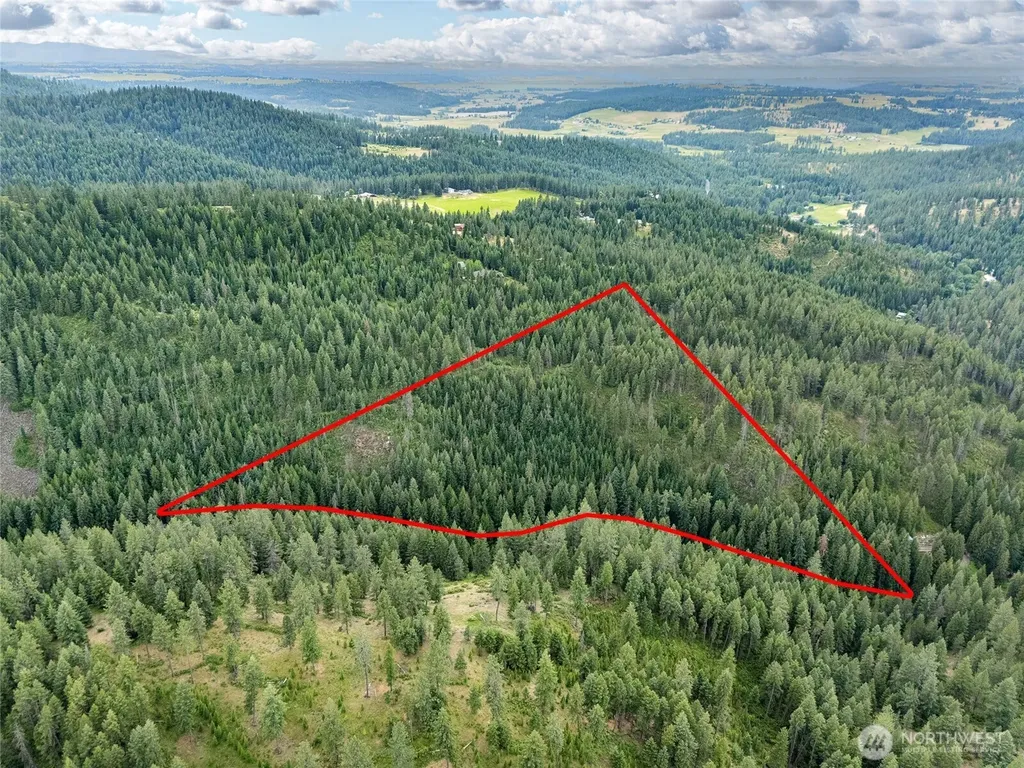 19960 + 19970 N Mt Spokane Park Drive Mead WA 99021