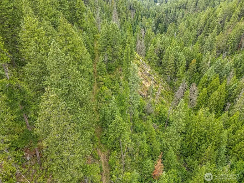 19960 + 19970 N Mt Spokane Park Drive Mead WA 99021
