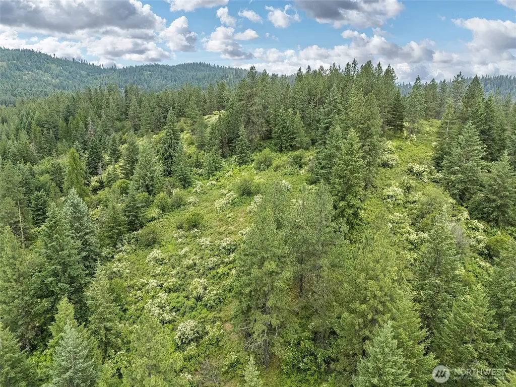 19960 + 19970 N Mt Spokane Park Drive Mead WA 99021