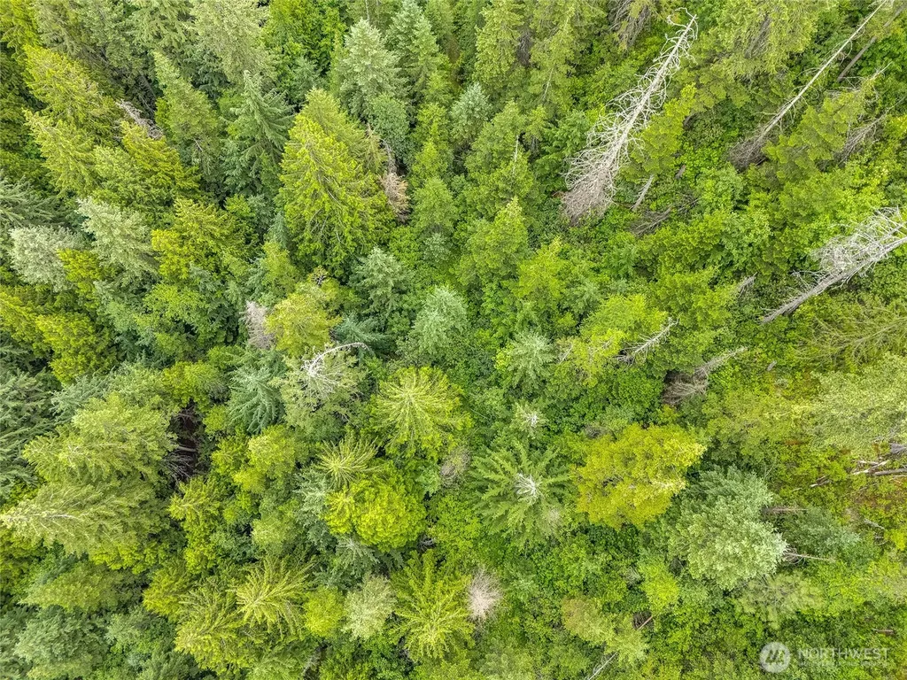 19960 N Mt Spokane Park Drive Mead WA 99021