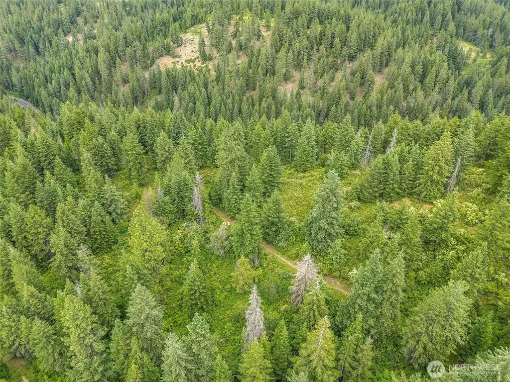 19960 N Mt Spokane Park Drive Mead WA 99021