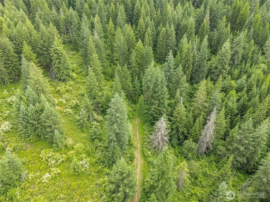 19960 N Mt Spokane Park Drive Mead WA 99021