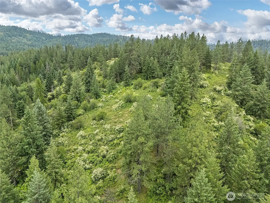 19960 N Mt Spokane Park Drive Mead WA 99021