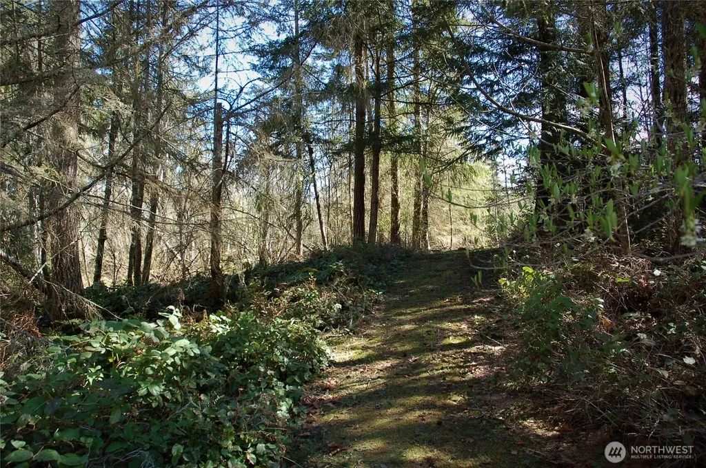 999 S Bagley Creek Road Port Angeles WA 98362