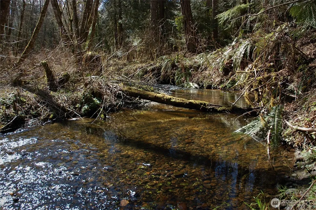 999 S Bagley Creek Road Port Angeles WA 98362