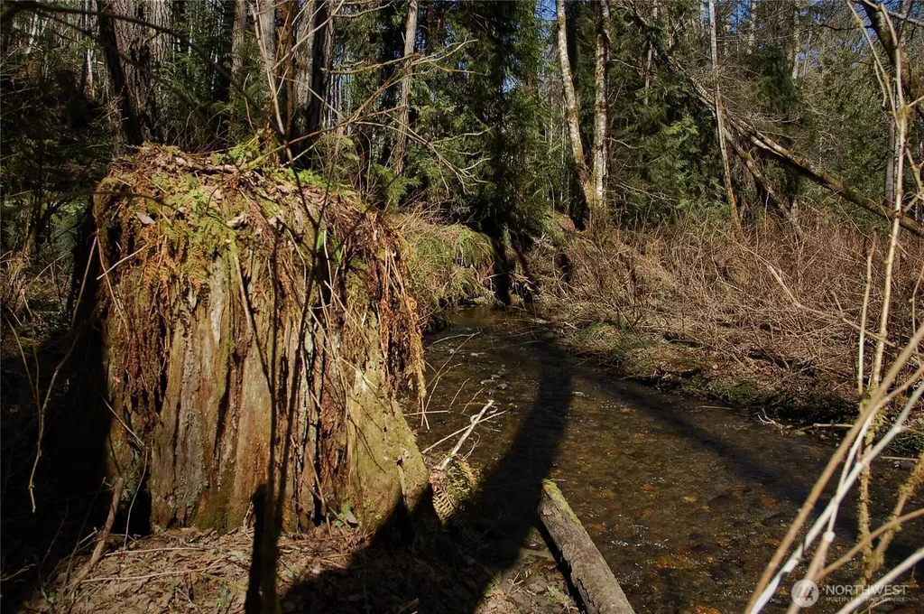 999 S Bagley Creek Road Port Angeles WA 98362